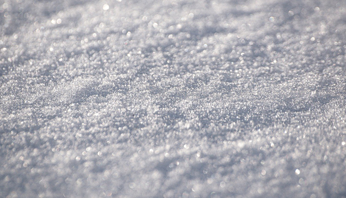 Snow Covered Lawn